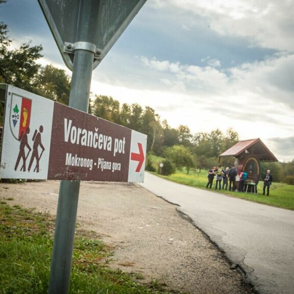 Vorančeva pot