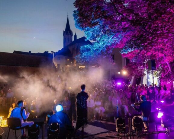 Festival novomeško poletje